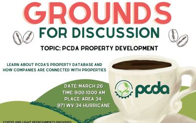 Grounds for Discussion: PCDA Property Development