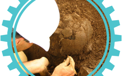 Archeologist